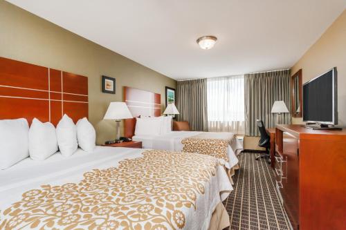 温莎洛克斯布拉德利机场戴斯酒店的酒店客房设有两张床和一台平面电视。