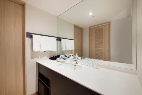 东京里士满东京水道桥酒店的一间带水槽和大镜子的浴室