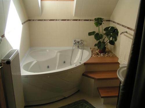 伦蒂堂吉诃德克孜克里旅馆的一间带大浴缸和盆栽的浴室