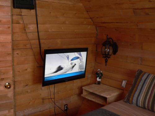 魁北克市德佩拉特'绿洲酒店的墙上的电视机