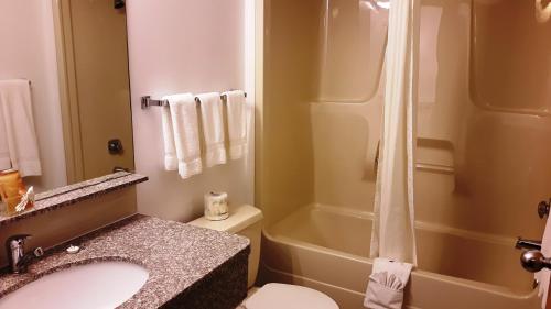 Dauphin肯维套房汽车旅馆的一间带水槽、淋浴和卫生间的浴室