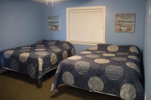 普廷贝普特因湾公寓式酒店的配有两张床铺的蓝色墙壁和窗户