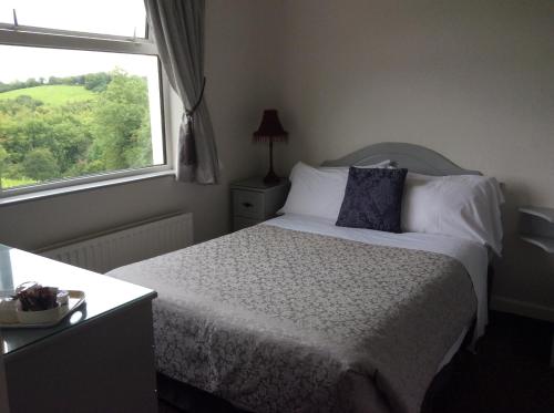 莫纳汉The Meadows Bed and Breakfast的一间卧室设有一张大床和窗户