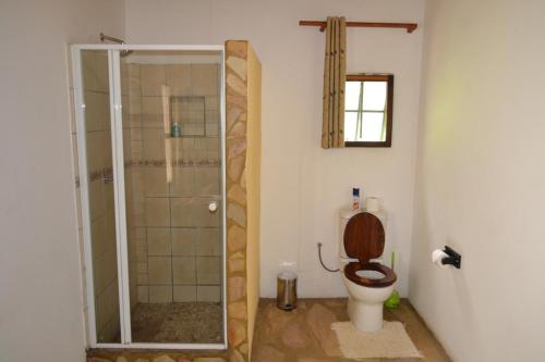 龙杜Tambuti lodge的一间带卫生间和玻璃淋浴间的浴室