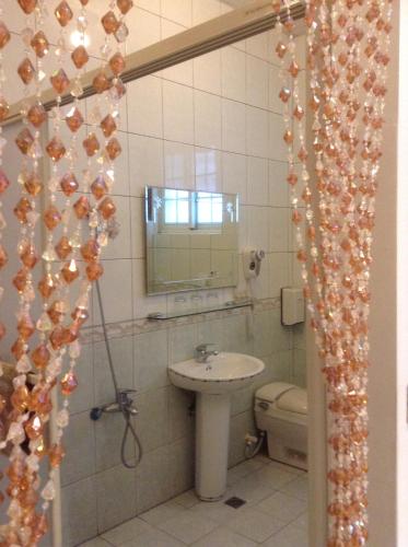 三峡三峡阿桂的家民宿的一间带水槽、卫生间和镜子的浴室
