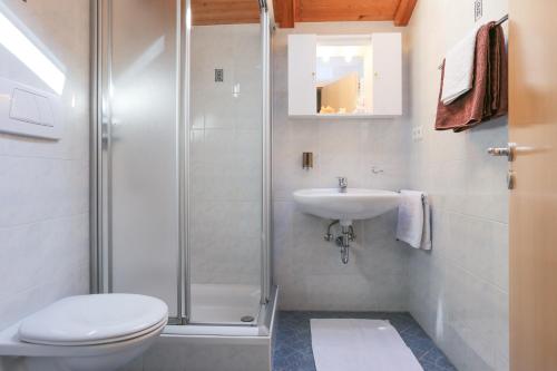维兰德罗马尔塞特霍夫农家乐的带淋浴、卫生间和盥洗盆的浴室