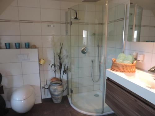 普雷罗Maisonette zum Weststrand的带淋浴、卫生间和盥洗盆的浴室