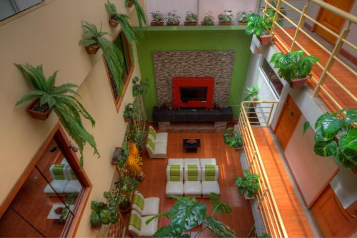 库斯科萨尔瓦多库斯科酒店的享有带植物的客厅的顶部景色