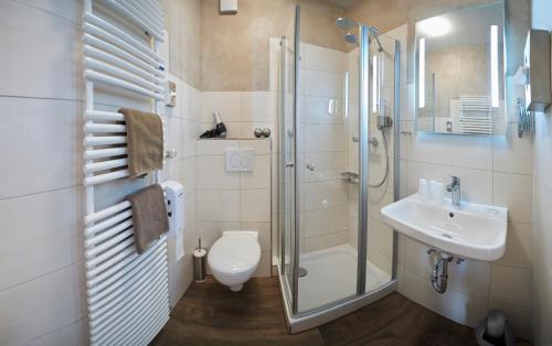 奥芬堡拉迈斯维尔霍夫酒店的带淋浴、卫生间和盥洗盆的浴室