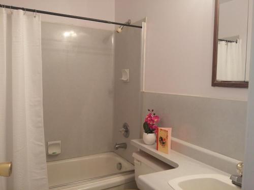 温尼伯温尼伯民宿的带淋浴、卫生间和盥洗盆的浴室