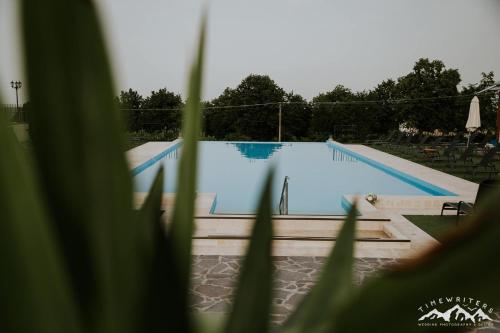 Maxut科纳克波利珠宾馆的前方绿树成荫的游泳池