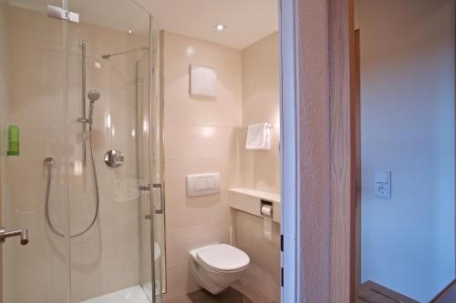 伊斯马宁祖尔姆勒酒店的带淋浴和卫生间的浴室