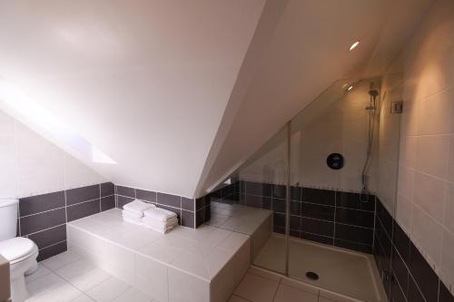 邓韦根Brae Cottage的阁楼浴室配有淋浴和卫生间。