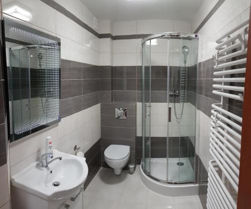 斯维诺乌伊希切Willa Adonis的带淋浴、卫生间和盥洗盆的浴室