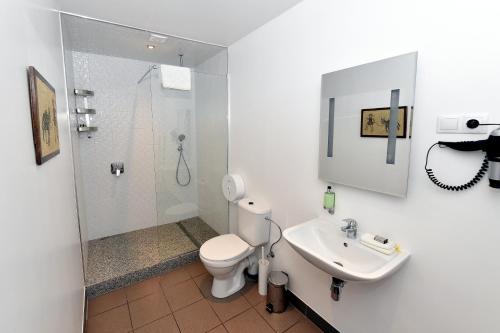 Smārde瓦古马帕苏尔旅馆的带淋浴、卫生间和盥洗盆的浴室