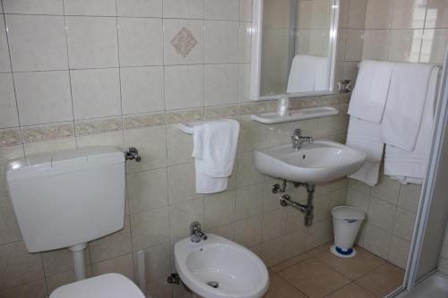 奥温多利Hotel Cenzo的一间带卫生间和水槽的浴室