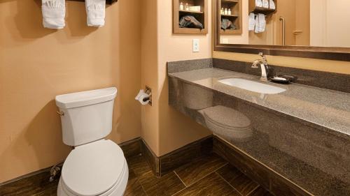 加登城贝斯特韦斯特翡翠套房优质酒店的浴室配有白色卫生间和盥洗盆。
