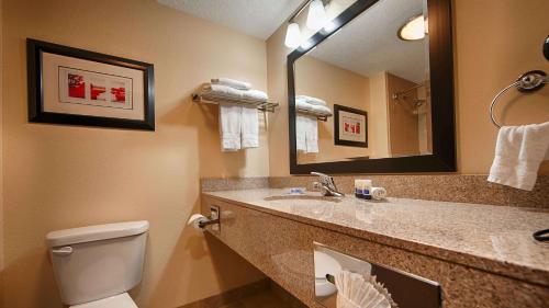 盐湖城最佳西方机场套房旅馆的一间带水槽、卫生间和镜子的浴室