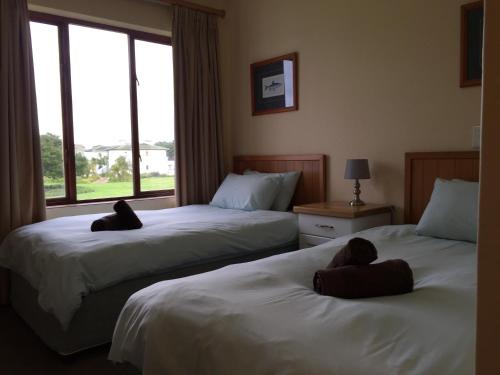 普利登堡湾Keurbooms River Lodge 1311的配有窗户的酒店客房内的两张床