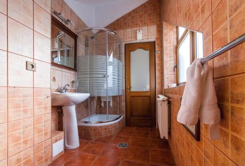 布拉索夫老布拉索夫酒店的一间带水槽、淋浴和卫生间的浴室
