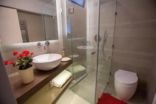苏尼翁Sounio Sea View的浴室设有玻璃淋浴间、卫生间和水槽。