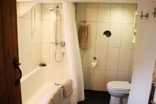 诺里奇Riverside House的带浴缸、卫生间和淋浴的浴室。