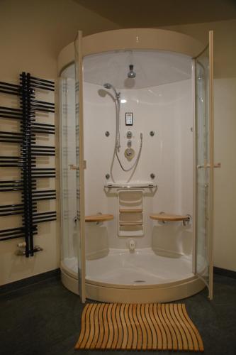 贝林佐拉德尔古斯托民宿的带淋浴和地毯的浴室