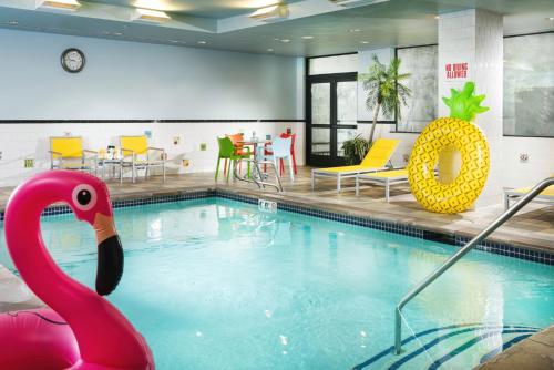 西雅图Staypineapple, The Maxwell Hotel, Seattle Center Seattle的一间酒店客房内的游泳池,里面装有粉红色的火烈鸟