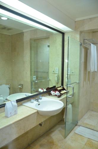 梭罗萨希德再也索罗酒店的一间带水槽和淋浴的浴室