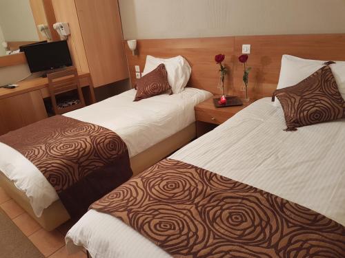 比雷埃夫斯格拉罗斯酒店的酒店客房设有两张床和电视。