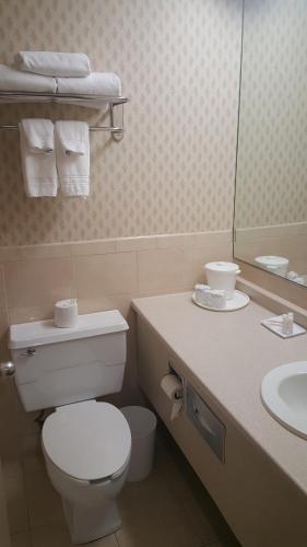 East Norwich东诺维奇酒店 的一间带卫生间、水槽和镜子的浴室
