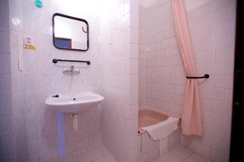布拉格奥尔加酒店 的白色的浴室设有水槽和镜子