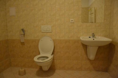 洛恒卡奥斯特利兹汽车旅馆的一间浴室