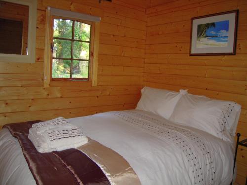 贝德格勒特布林迪纳斯露营吊舱有限公司 的小木屋内的一张床位,设有窗户