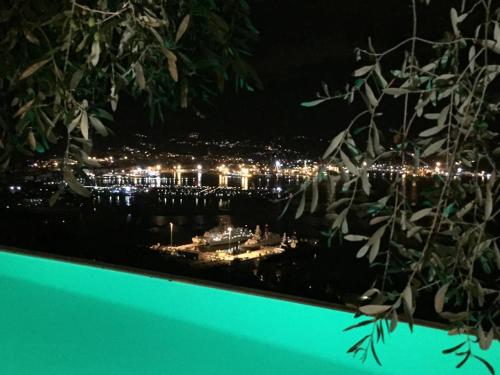 斯培西亚维尔瑞莱酒店的夜晚带灯光的城市景观