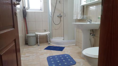 巴尔Room 4 U的带淋浴和水槽的浴室以及蓝色地毯。