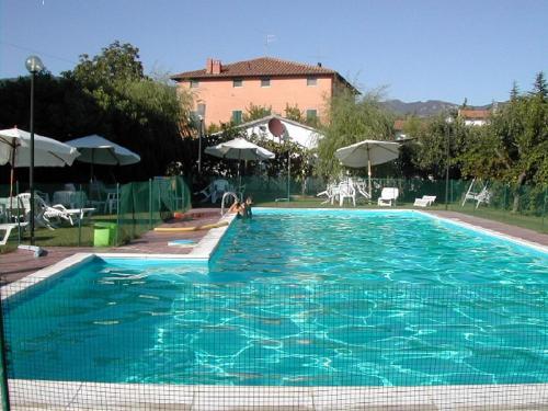 圣塞波尔克罗Agriturismo Il Giardino的一座大型蓝色游泳池,里面的人都沉浸在水中