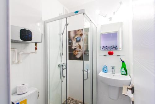 加拉茨Belvedere Danubius的带淋浴和盥洗盆的浴室