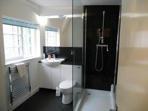 亚姆Yarm View Cottages的带淋浴、卫生间和盥洗盆的浴室
