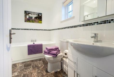 拉姆西Milntown Self Catering Apartments的白色的浴室设有水槽和卫生间。