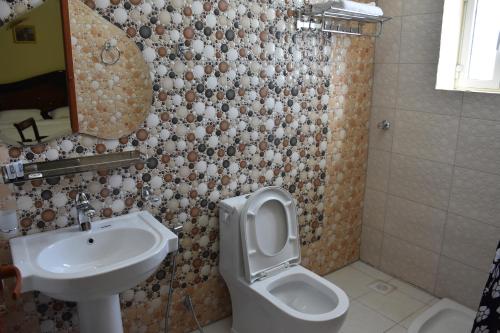 Al ‘AqarGreen Mountain Hotel Apartments的一间带水槽、卫生间和镜子的浴室