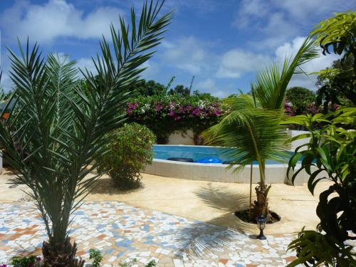 索蒙圣詹姆斯旅馆的一座种有棕榈树和鲜花的游泳池