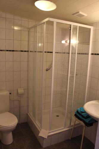 巴特纽维斯帕达迪索汽车公寓的带淋浴、卫生间和盥洗盆的浴室