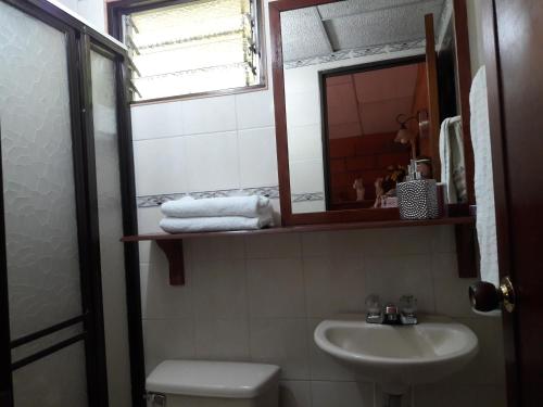 瓜塔佩Cabañas La Honda的一间带水槽、卫生间和镜子的浴室