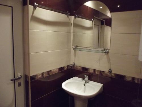 斯维什托夫House for Guests and Friends的一间带水槽和镜子的浴室