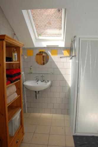 Duffel“利特尔·约翰”假日旅馆的一间带水槽和淋浴的浴室