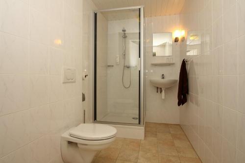 WagenborgenHotel-Appartementen Klaver Vier的带淋浴、卫生间和盥洗盆的浴室