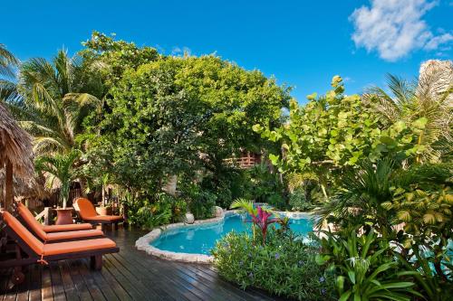 圣佩德罗Ramon's Village Resort的庭院设有游泳池、椅子和树木