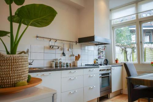 代尔夫特港口街公寓的厨房配有白色橱柜和盆栽植物