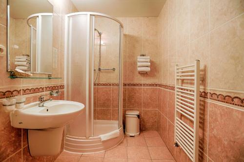 皮耶什佳尼Ensana Vila Trajan的一间带水槽和淋浴的浴室